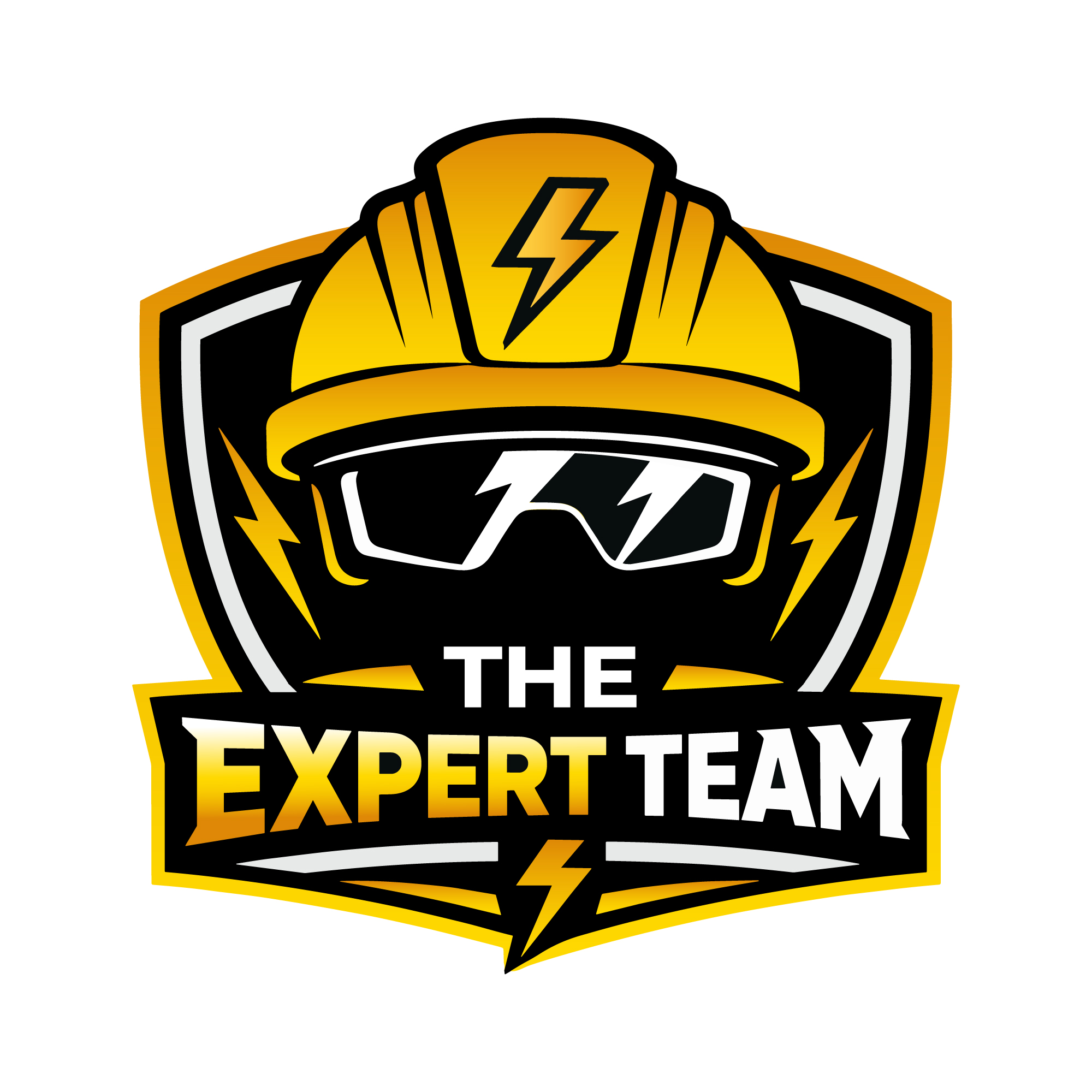 The Expert Team